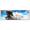 Led Wandbild Lilie Zensteine Panorama Produktvorschau Frontal