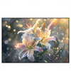 Led Wandbild Lilien Im Morgenlicht Querformat Produktvorschau Frontal