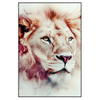 Led Wandbild Loewe Im Farbenspiel Hochformat Produktvorschau Frontal