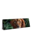 Led Wandbild Loewe Im Gruenen Regenwald Panorama Produktvorschau Seitlich