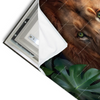Led Wandbild Loewe Im Gruenen Regenwald Querformat Materialvorschau