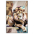 Led Wandbild Loewe Koenig Der Tiere Hochformat Produktvorschau Frontal