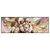 Led Wandbild Loewe Koenig Der Tiere Panorama Produktvorschau Frontal