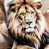 Led Wandbild Loewe Koenig Der Tiere Schmal Zoom