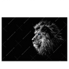Led Wandbild Loewe Mit Blauen Augen Querformat Produktvorschau Frontal