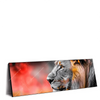 Led Wandbild Loewe Savannenzauber In Afrika Panorama Produktvorschau Seitlich