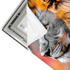 Led Wandbild Loewe Savannenzauber In Afrika Quadrat Materialvorschau