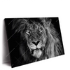 Led Wandbild Loewe Schwarzweiss Querformat Produktvorschau Seitlich