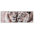 Led Wandbild Loewen Harmonie In Pastell Panorama Produktvorschau Frontal