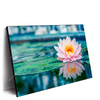 Led Wandbild Lotusblume Querformat Produktvorschau Seitlich