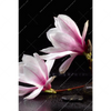 Led Wandbild Magnolien Zen Steine Hochformat Motivvorschau