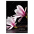 Led Wandbild Magnolien Zen Steine Hochformat Produktvorschau Frontal