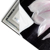 Led Wandbild Magnolien Zen Steine Panorama Materialvorschau