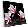 Led Wandbild Magnolien Zen Steine Quadrat Produktvorschau Seitlich