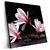 Led Wandbild Magnolien Zen Steine Quadrat Produktvorschau Seitlich