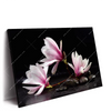 Led Wandbild Magnolien Zen Steine Querformat Produktvorschau Seitlich