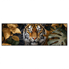 Led Wandbild Majestaetischer Tiger Im Dschungel Panorama Produktvorschau Frontal