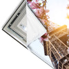 Led Wandbild Mangnolien In Paris Hochformat Materialvorschau