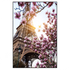 Led Wandbild Mangnolien In Paris Hochformat Produktvorschau Frontal