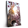 Led Wandbild Mangnolien In Paris Hochformat Produktvorschau Seitlich