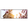 Led Wandbild Mangnolien In Paris Panorama Produktvorschau Frontal