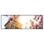 Led Wandbild Mangnolien In Paris Panorama Produktvorschau Frontal