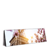 Led Wandbild Mangnolien In Paris Panorama Produktvorschau Seitlich