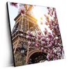 Led Wandbild Mangnolien In Paris Quadrat Produktvorschau Seitlich