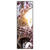 Led Wandbild Mangnolien In Paris Schmal Produktvorschau Frontal