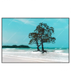 Led Wandbild Mangrovenbaum Im Wasser Querformat Produktvorschau Frontal