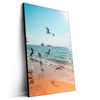Led Wandbild Moewen Am Strand Hochformat Produktvorschau Seitlich