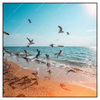 Led Wandbild Moewen Am Strand Quadrat Produktvorschau Frontal