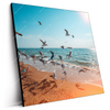 Led Wandbild Moewen Am Strand Quadrat Produktvorschau Seitlich