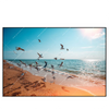 Led Wandbild Moewen Am Strand Querformat Produktvorschau Frontal