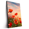 Led Wandbild Mohnblumenfeld Bei Sonnenuntergang Hochformat Produktvorschau Seitlich