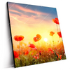 Led Wandbild Mohnblumenfeld Bei Sonnenuntergang Quadrat Produktvorschau Seitlich