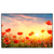 Led Wandbild Mohnblumenfeld Bei Sonnenuntergang Querformat Produktvorschau Frontal