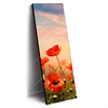 Led Wandbild Mohnblumenfeld Bei Sonnenuntergang Schmal Produktvorschau Seitlich