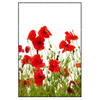 Led Wandbild Mohnfeld Hochformat Produktvorschau Frontal