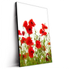 Led Wandbild Mohnfeld Hochformat Produktvorschau Seitlich