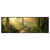 Led Wandbild Morgenspaziergang Im Nebeligem Wald Panorama Produktvorschau Frontal