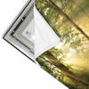 Led Wandbild Morgenspaziergang Im Nebeligem Wald Querformat Materialvorschau