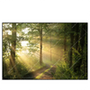 Led Wandbild Morgenspaziergang Im Nebeligem Wald Querformat Produktvorschau Frontal