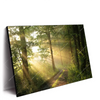 Led Wandbild Morgenspaziergang Im Nebeligem Wald Querformat Produktvorschau Seitlich