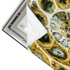 Led Wandbild Muschel Fossil No 1 Querformat Materialvorschau