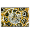 Led Wandbild Muschel Fossil No 1 Querformat Produktvorschau Frontal