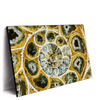Led Wandbild Muschel Fossil No 1 Querformat Produktvorschau Seitlich