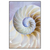 Led Wandbild Muschel Fossil No 2 Hochformat Produktvorschau Frontal