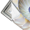 Led Wandbild Muschel Fossil No 2 Querformat Materialvorschau