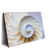 Led Wandbild Muschel Fossil No 2 Querformat Produktvorschau Seitlich